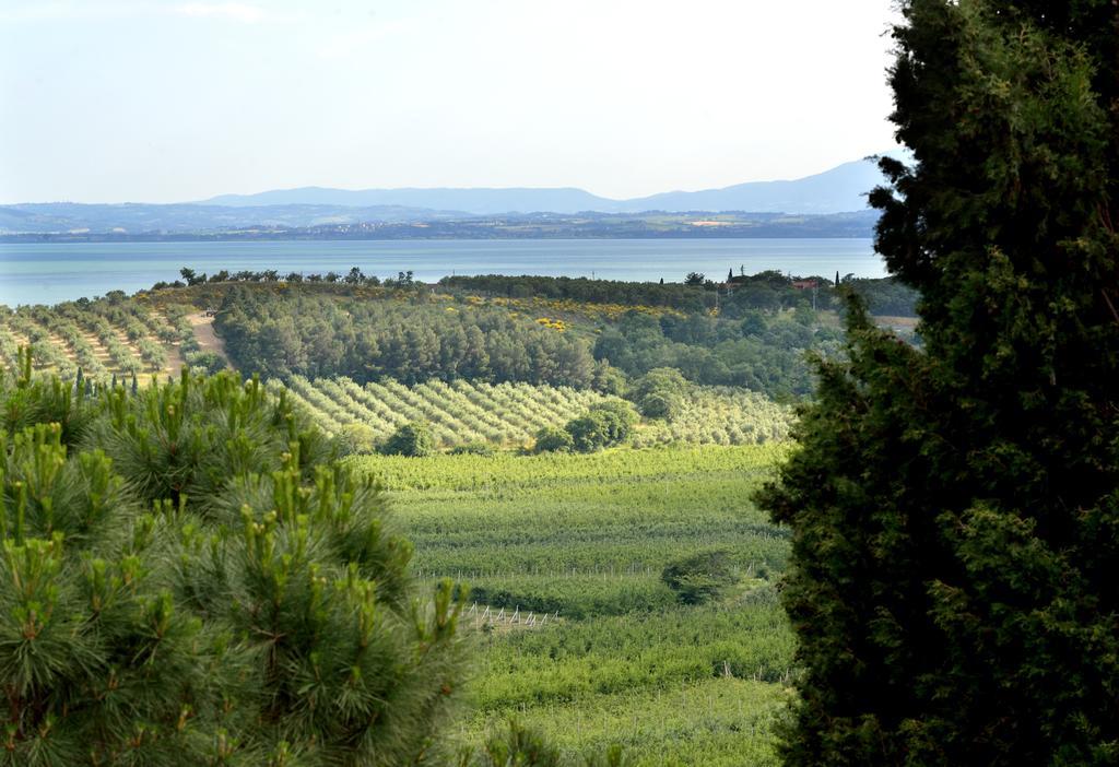 Agriturismo San Severo Passignano sul Trasimeno Kültér fotó